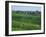 Marne, Champagne, Cramant Village and Vineyards, France-Steve Vidler-Framed Photographic Print