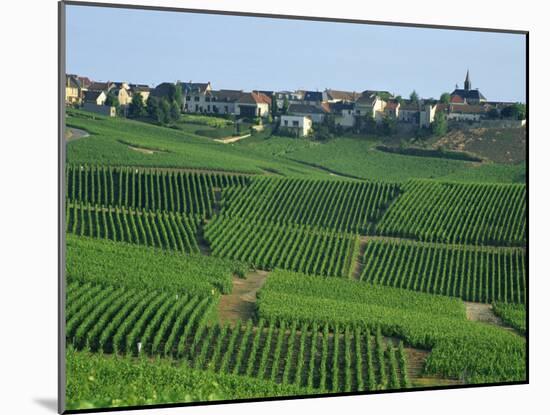 Marne, Champagne, Cramant Village and Vineyards, France-Steve Vidler-Mounted Photographic Print