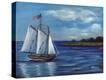 Stretched Canvas Print