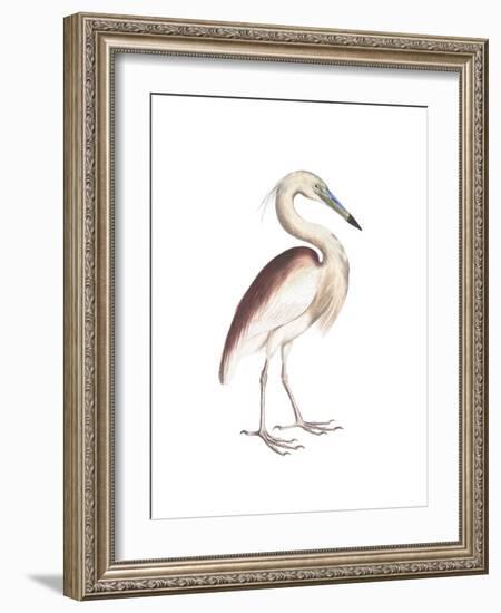 Marone Backed Heron-Maria Mendez-Framed Giclee Print