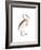 Marone Backed Heron-Maria Mendez-Framed Giclee Print