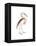 Marone Backed Heron-Maria Mendez-Framed Stretched Canvas