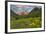 Maroon Bells reflect into calm Maroon Lake near Aspen, Colorado, USA-Chuck Haney-Framed Photographic Print