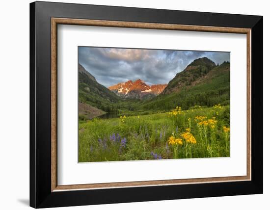 Maroon Bells reflect into calm Maroon Lake near Aspen, Colorado, USA-Chuck Haney-Framed Photographic Print