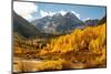 Maroon Bells-Snowmass Wilderness in Aspen, Colorado in autumn.-Mallorie Ostrowitz-Mounted Photographic Print