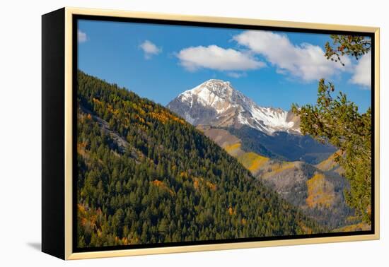 Maroon Bells-Snowmass Wilderness in Aspen.-Mallorie Ostrowitz-Framed Premier Image Canvas