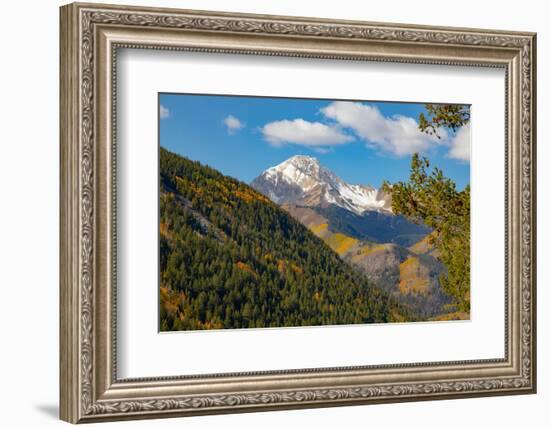 Maroon Bells-Snowmass Wilderness in Aspen.-Mallorie Ostrowitz-Framed Photographic Print