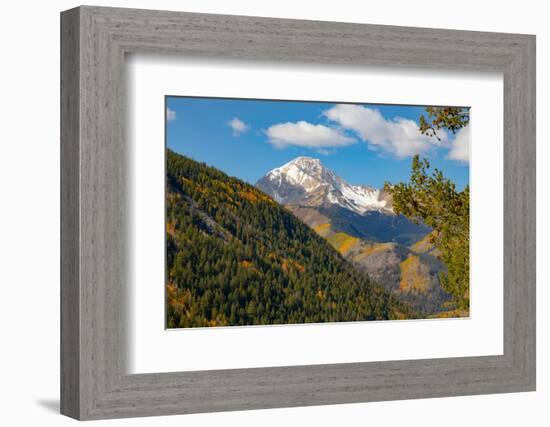 Maroon Bells-Snowmass Wilderness in Aspen.-Mallorie Ostrowitz-Framed Photographic Print