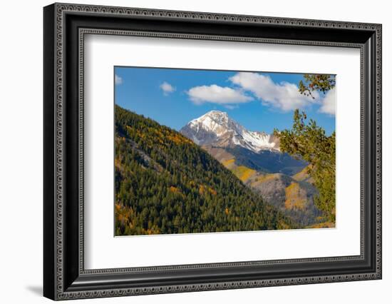 Maroon Bells-Snowmass Wilderness in Aspen.-Mallorie Ostrowitz-Framed Photographic Print