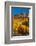 Maroon Bells-Snowmass Wilderness in autumn-Mallorie Ostrowitz-Framed Photographic Print