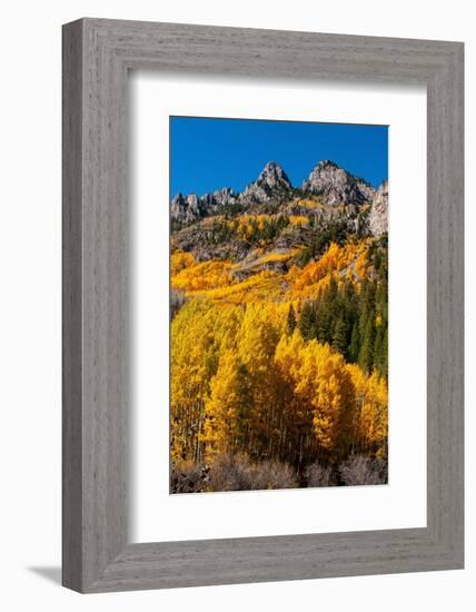 Maroon Bells-Snowmass Wilderness in autumn-Mallorie Ostrowitz-Framed Photographic Print