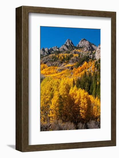 Maroon Bells-Snowmass Wilderness in autumn-Mallorie Ostrowitz-Framed Photographic Print