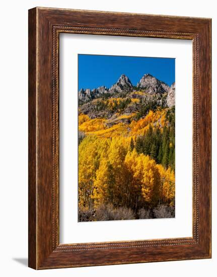 Maroon Bells-Snowmass Wilderness in autumn-Mallorie Ostrowitz-Framed Photographic Print