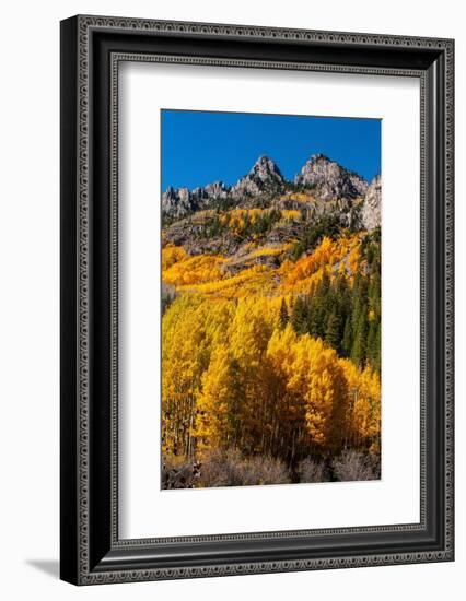 Maroon Bells-Snowmass Wilderness in autumn-Mallorie Ostrowitz-Framed Photographic Print