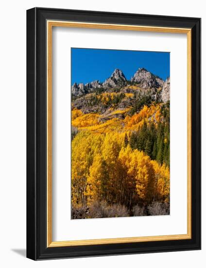 Maroon Bells-Snowmass Wilderness in autumn-Mallorie Ostrowitz-Framed Photographic Print