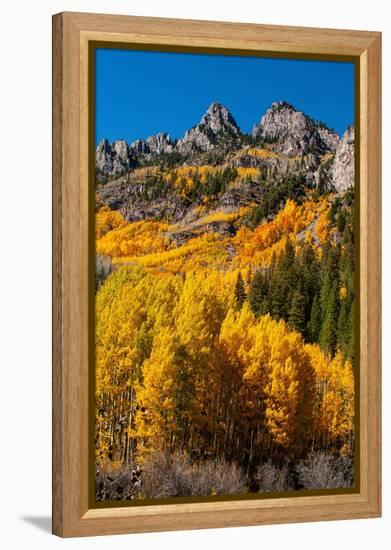 Maroon Bells-Snowmass Wilderness in autumn-Mallorie Ostrowitz-Framed Premier Image Canvas