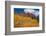 Maroon Bells-Snowmass Wilderness of Colorado, red rock cliffs.-Mallorie Ostrowitz-Framed Photographic Print