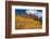 Maroon Bells-Snowmass Wilderness of Colorado, red rock cliffs.-Mallorie Ostrowitz-Framed Photographic Print