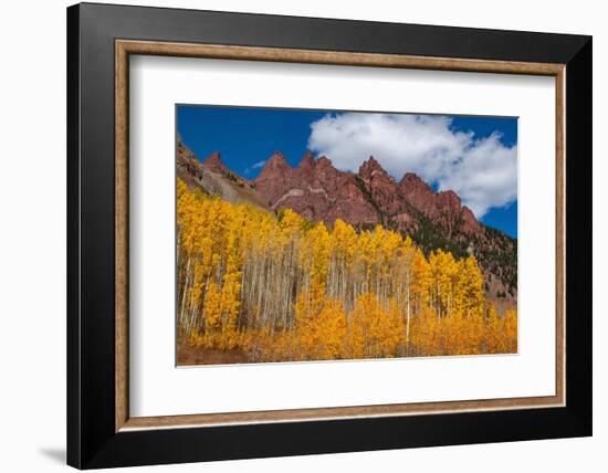 Maroon Bells-Snowmass Wilderness of Colorado, red rock cliffs.-Mallorie Ostrowitz-Framed Photographic Print