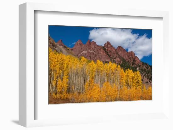 Maroon Bells-Snowmass Wilderness of Colorado, red rock cliffs.-Mallorie Ostrowitz-Framed Photographic Print