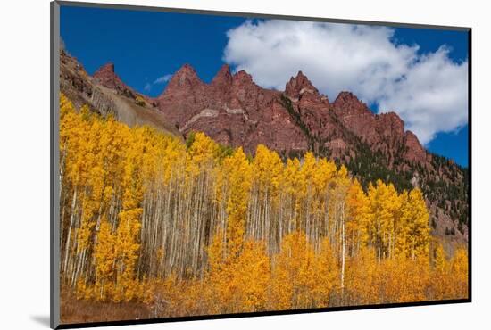 Maroon Bells-Snowmass Wilderness of Colorado, red rock cliffs.-Mallorie Ostrowitz-Mounted Photographic Print