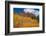 Maroon Bells-Snowmass Wilderness of Colorado, red rock cliffs.-Mallorie Ostrowitz-Framed Photographic Print