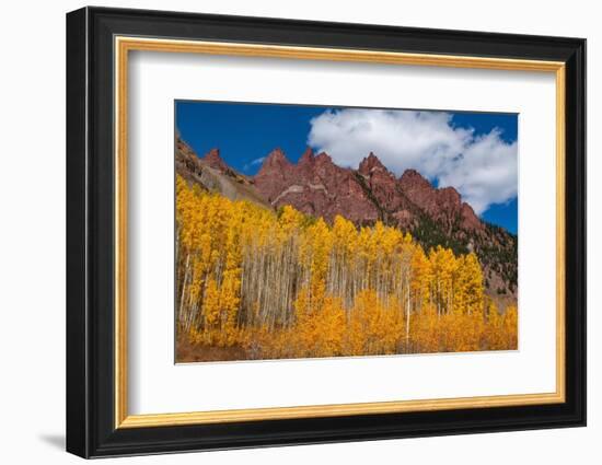 Maroon Bells-Snowmass Wilderness of Colorado, red rock cliffs.-Mallorie Ostrowitz-Framed Photographic Print