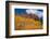 Maroon Bells-Snowmass Wilderness of Colorado, red rock cliffs.-Mallorie Ostrowitz-Framed Photographic Print