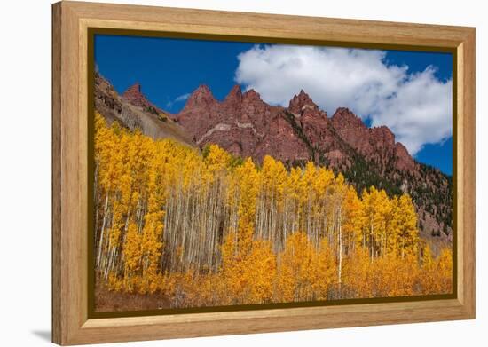 Maroon Bells-Snowmass Wilderness of Colorado, red rock cliffs.-Mallorie Ostrowitz-Framed Premier Image Canvas