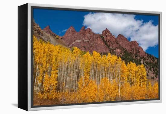 Maroon Bells-Snowmass Wilderness of Colorado, red rock cliffs.-Mallorie Ostrowitz-Framed Premier Image Canvas