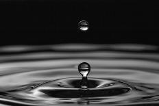 Water Drops-marosbauer-Mounted Photographic Print