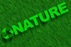 Nature Word over Green Grass-marphotography-Art Print