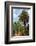 Marrakech, Morocco. Lush, tropical date palm trees.-Julien McRoberts-Framed Photographic Print