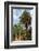 Marrakech, Morocco. Lush, tropical date palm trees.-Julien McRoberts-Framed Photographic Print
