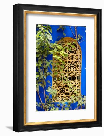 Marrakech, Morocco. Plant life with cobalt blue backdrop.-Julien McRoberts-Framed Photographic Print