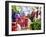 Marrakesh Colourful Moroccan Glassware in the Souqs of Marrakesh, Morocco-Andrew Watson-Framed Photographic Print