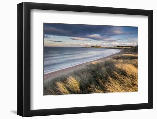 Marram grass and sand dunes, Embleton Bay, Northumberland-Ross Hoddinott-Framed Photographic Print