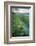 Marram Grass Blows in the Wind, Harlech, Gwynedd, Wales, United Kingdom, Europe-John Alexander-Framed Photographic Print