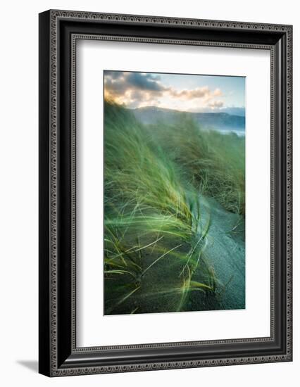 Marram Grass Blows in the Wind, Harlech, Gwynedd, Wales, United Kingdom, Europe-John Alexander-Framed Photographic Print