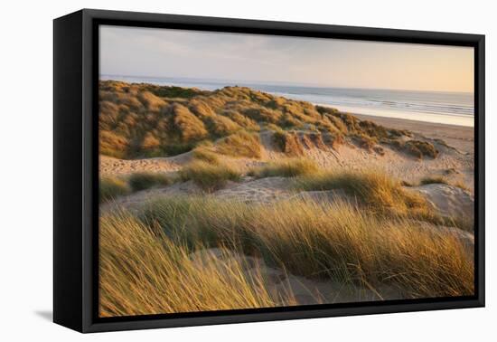 Marram Grass on the Sand Dunes of Braunton Burrows, Looking Towards Saunton Sands, Devon-Adam Burton-Framed Premier Image Canvas