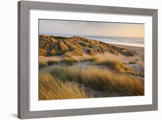 Marram Grass on the Sand Dunes of Braunton Burrows, Looking Towards Saunton Sands, Devon-Adam Burton-Framed Photographic Print