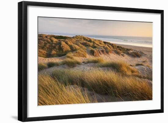 Marram Grass on the Sand Dunes of Braunton Burrows, Looking Towards Saunton Sands, Devon-Adam Burton-Framed Photographic Print