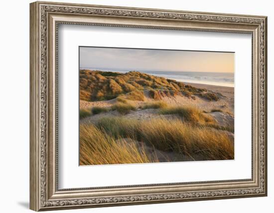 Marram Grass on the Sand Dunes of Braunton Burrows, Looking Towards Saunton Sands, Devon-Adam Burton-Framed Photographic Print