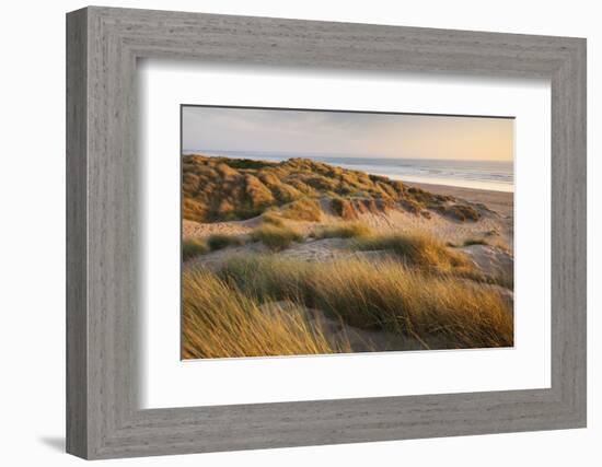 Marram Grass on the Sand Dunes of Braunton Burrows, Looking Towards Saunton Sands, Devon-Adam Burton-Framed Photographic Print