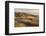 Marram Grass on the Sand Dunes of Braunton Burrows, Looking Towards Saunton Sands, Devon-Adam Burton-Framed Photographic Print