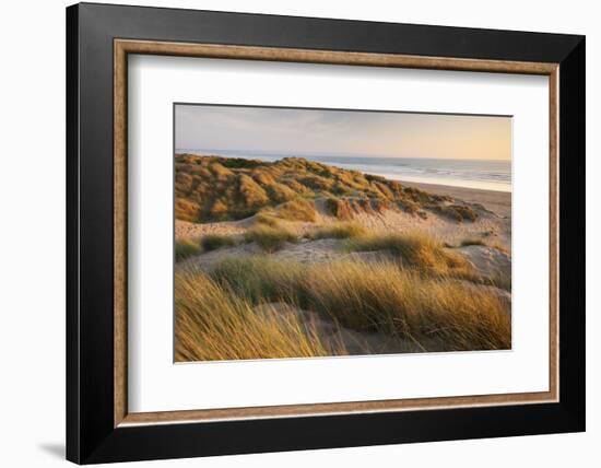 Marram Grass on the Sand Dunes of Braunton Burrows, Looking Towards Saunton Sands, Devon-Adam Burton-Framed Photographic Print