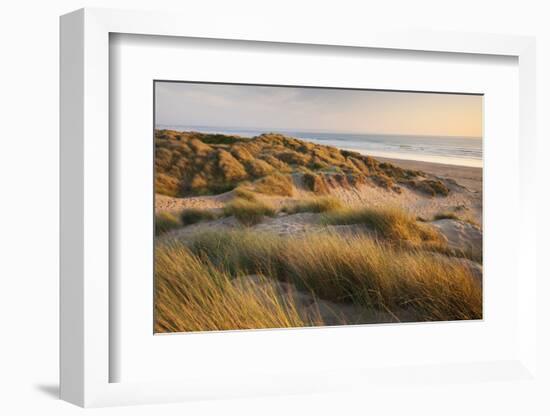 Marram Grass on the Sand Dunes of Braunton Burrows, Looking Towards Saunton Sands, Devon-Adam Burton-Framed Photographic Print