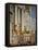 Marriage at Cana-Paolo Veronese-Framed Premier Image Canvas