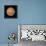 Mars Close Approach 2007, HST Image-null-Framed Premier Image Canvas displayed on a wall