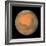 Mars Close Approach 2007, HST Image-null-Framed Premium Photographic Print